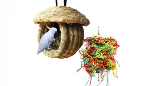 Birdcage de simulation de paille de cage à oiseaux Hamiledyi