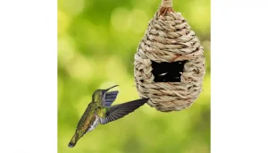 Meilleur nid de colibris : winemana Maison de colibri tissée à la key