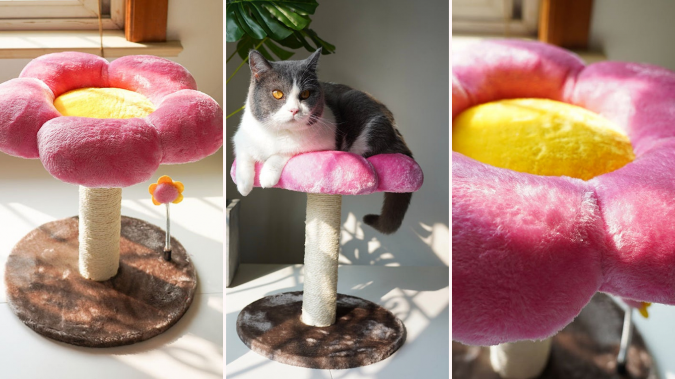 Cet arbre à chat à fleurs adorable devient viral et voici où l'acheter