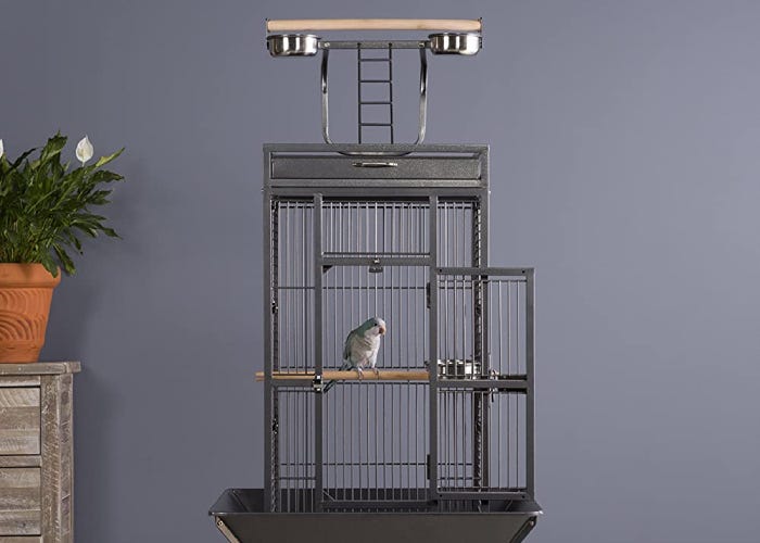 Les meilleures cages à oiseaux pour votre animal de compagnie
