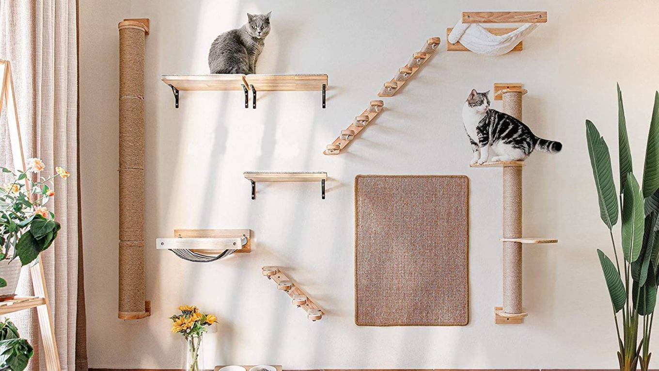 Les meilleures étagères pour chats pour votre maison