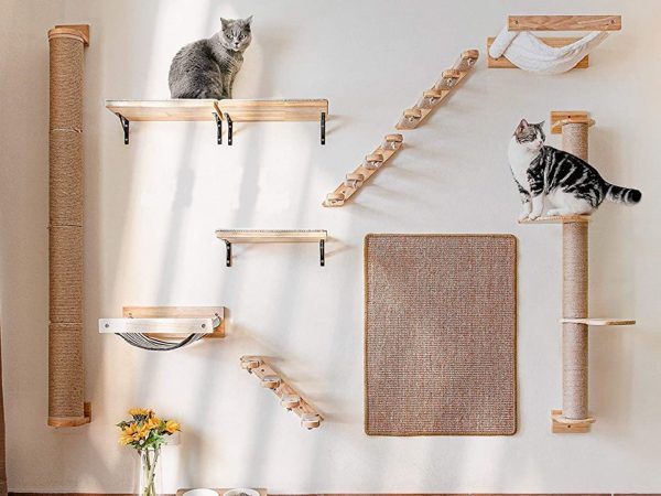Les meilleures étagères pour chats pour votre maison