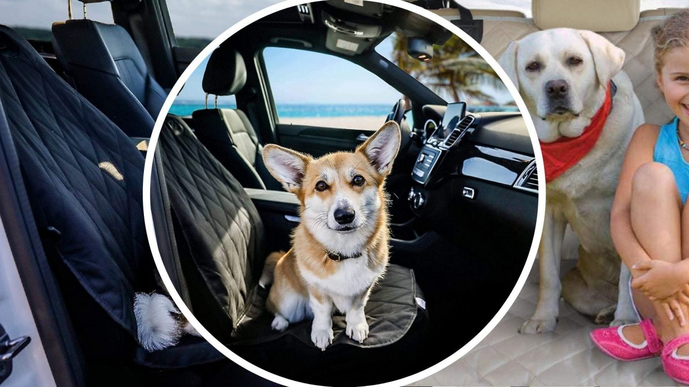 Les meilleures housses de siège d'auto pour chien pour protéger votre véhicule