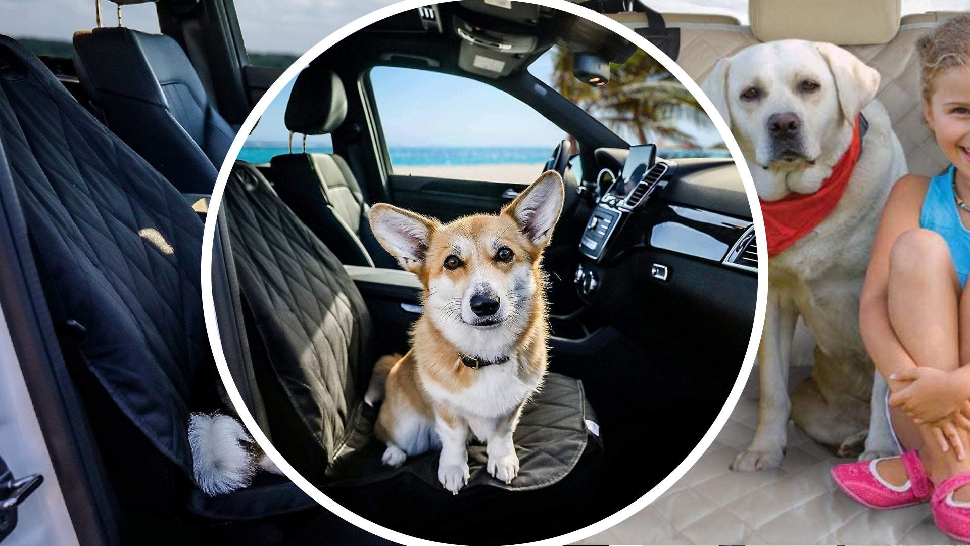 Les meilleures housses de siège d’auto pour chien pour protéger votre véhicule