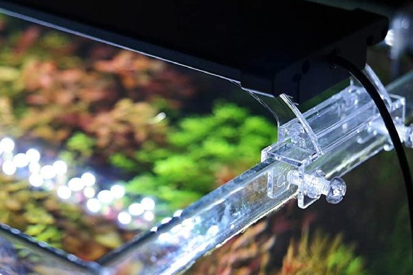 Les meilleures lumières pour votre aquarium