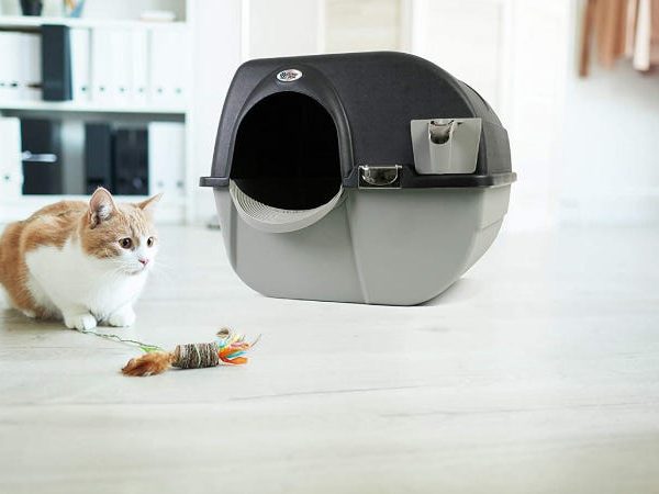 Les meilleurs robots de litière pour votre chat
