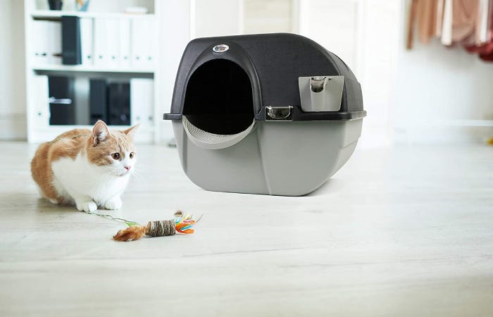 Les meilleurs robots de litière pour votre chat