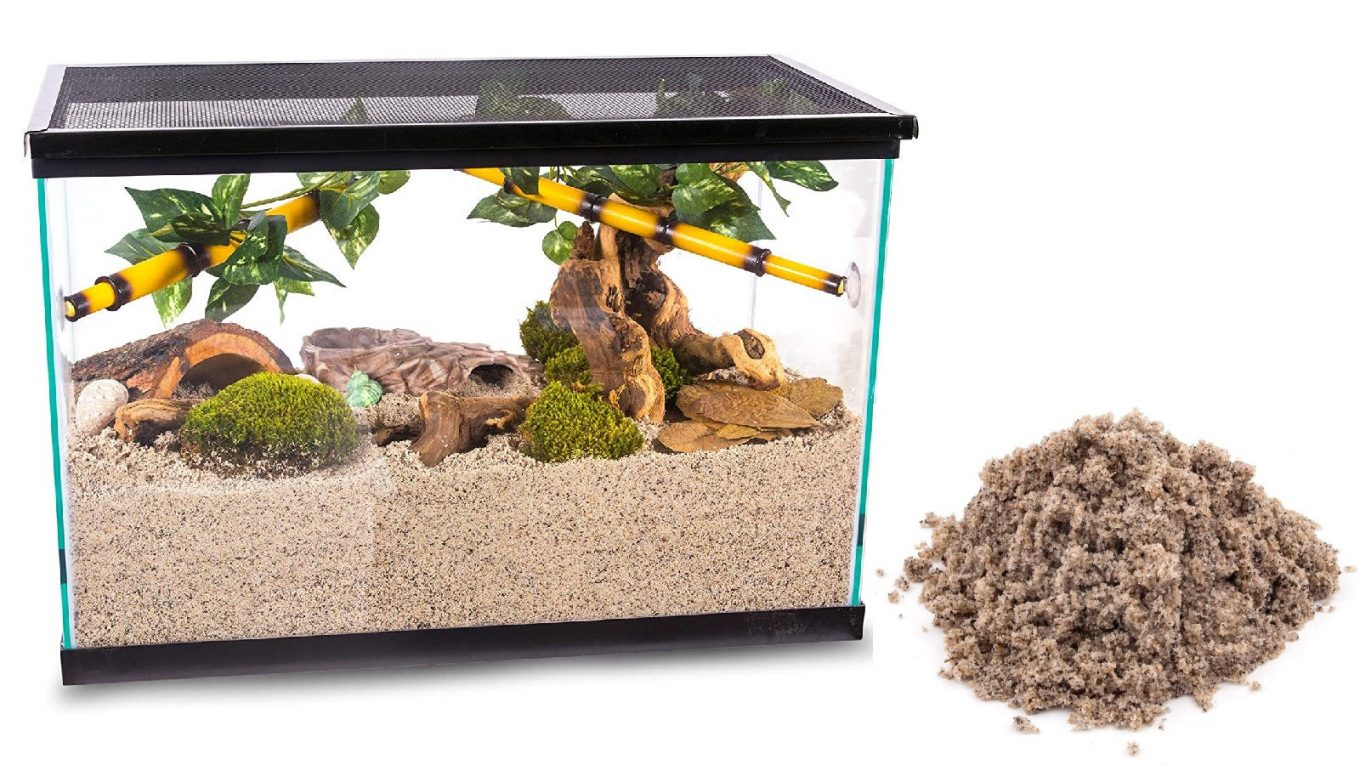 Les meilleurs substrats de sable pour aquariums