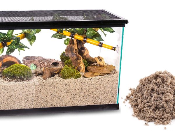 Les meilleurs substrats de sable pour aquariums