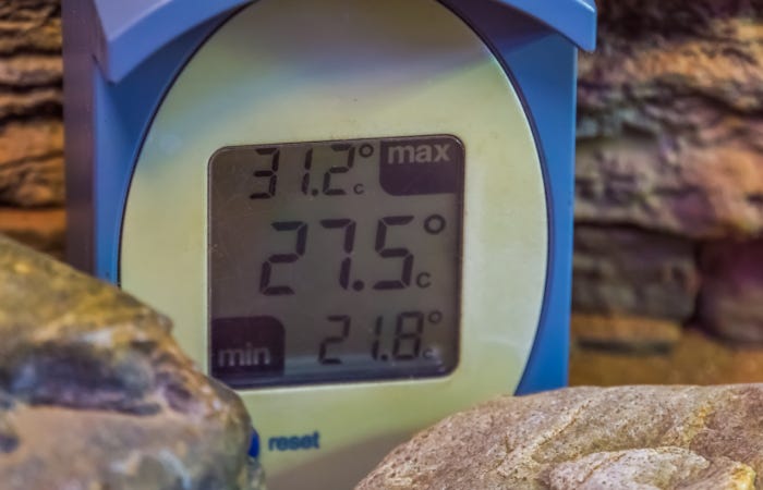 Les meilleurs thermomètres pour votre terrarium