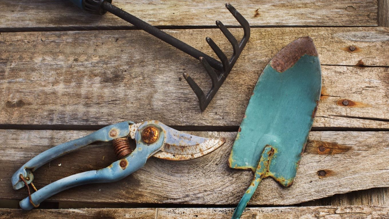 Besoin d'enlever la rouille de vos outils de jardinage ? Regardez dans le réfrigérateur