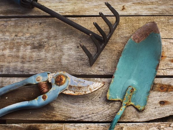 Besoin d'enlever la rouille de vos outils de jardinage ?  Regardez dans le réfrigérateur