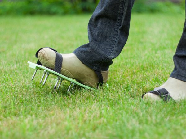 C'est le moyen le plus simple (et le moins cher) d'aérer votre pelouse
