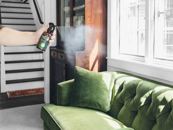 Éliminateurs d'odeurs efficaces pour votre maison