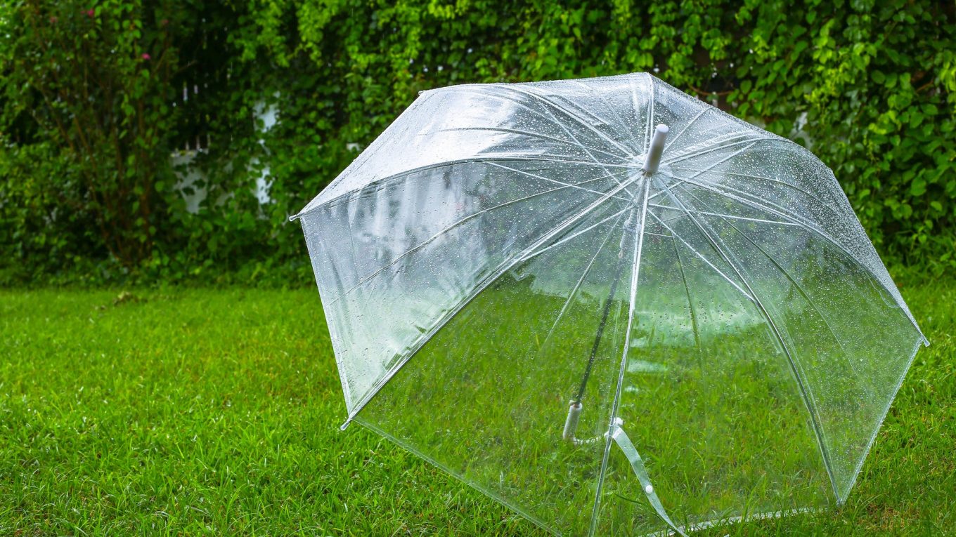 Les gens utilisent des parapluies transparents comme mini-serres