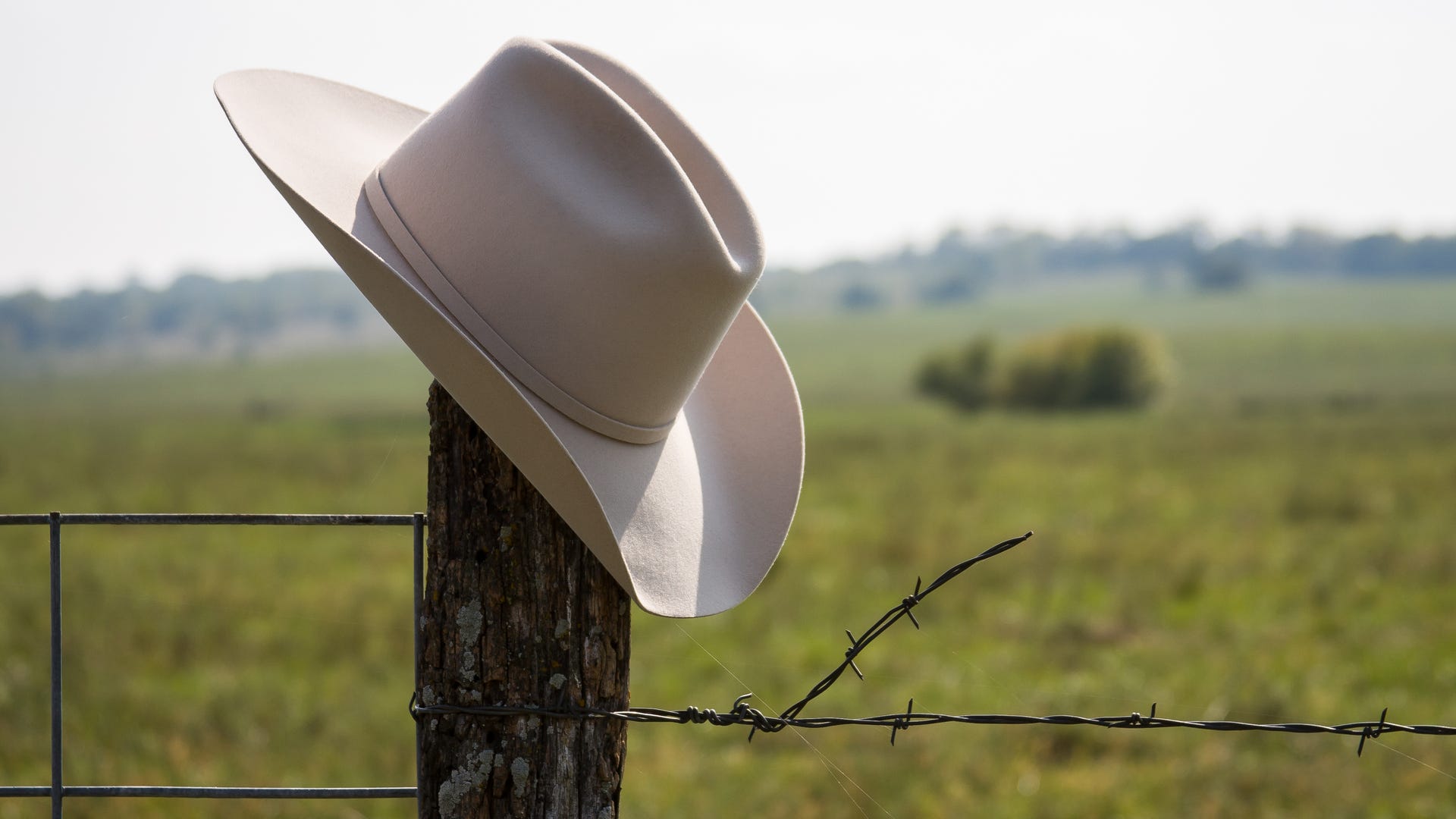 Les meilleurs chapeaux de cowboy pour chaque occasion