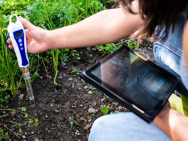 Les meilleurs kits d'analyse de sol pour maintenir un jardin sain